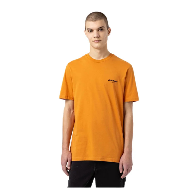 Dickies-ArtondaleBoxTeeGoldenOchre_2