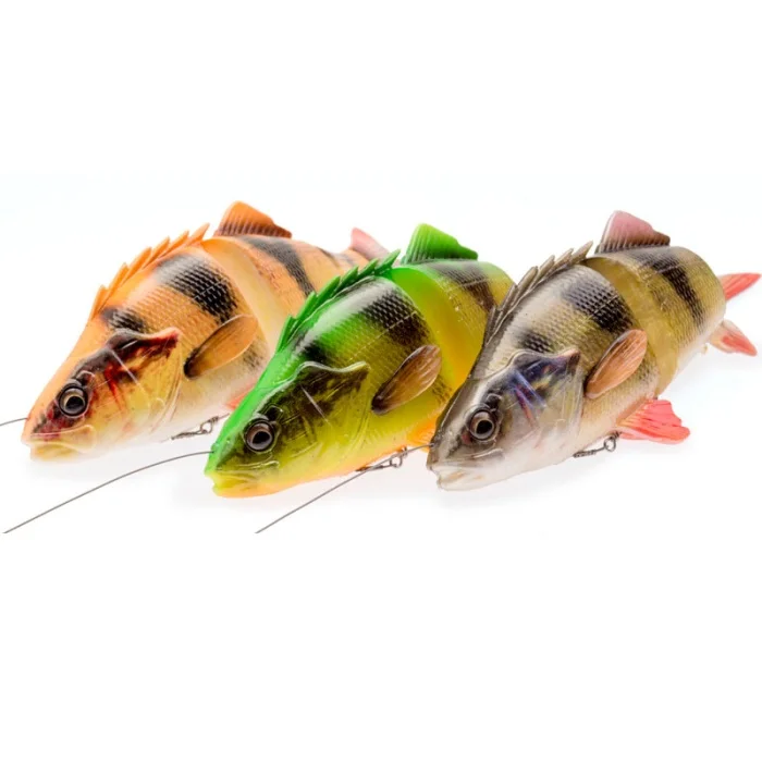 4d_thru_perch_acceui
