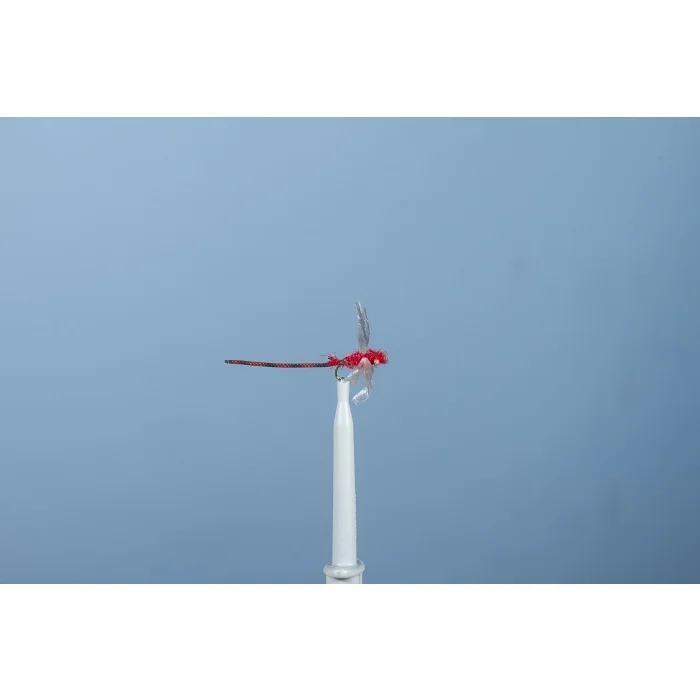 LIBELLULE-2
