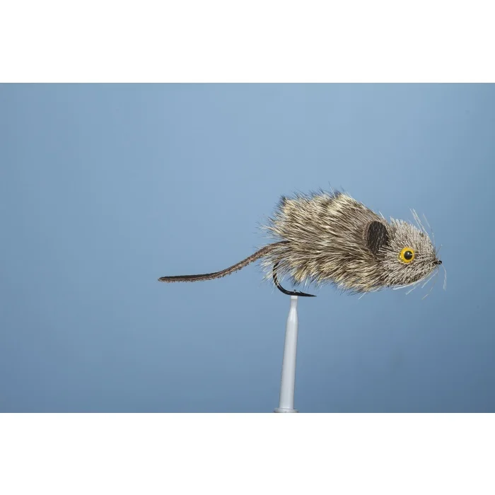 SOURIS-TAIMEN