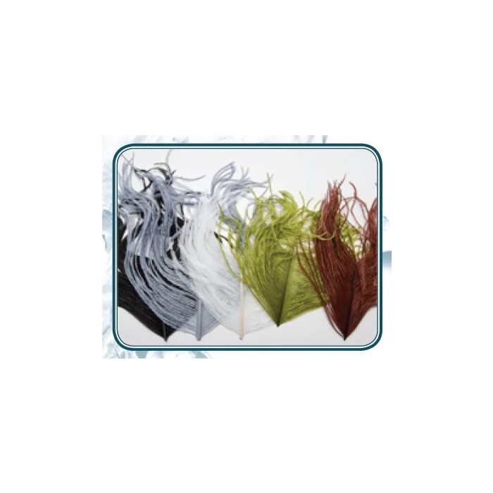 autruche