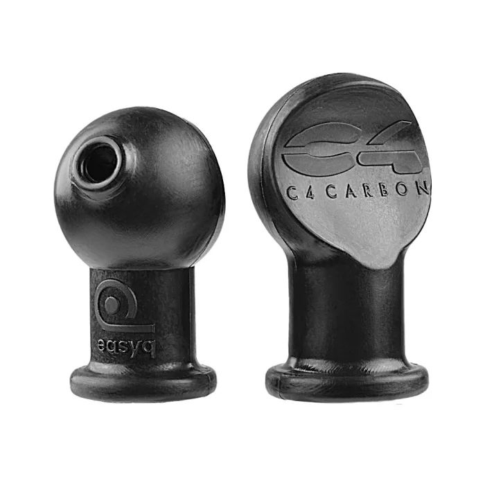 c4_carbon_eqsystem