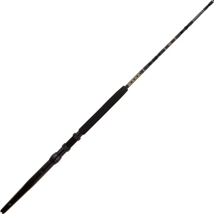 canne-penn-international-vi-igfa_2