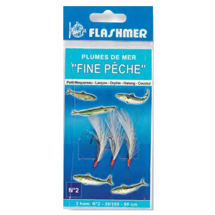 fine_1_1_1_1_1