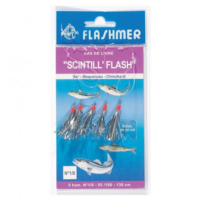 flashmer-train-de-plumes-scintill-flash