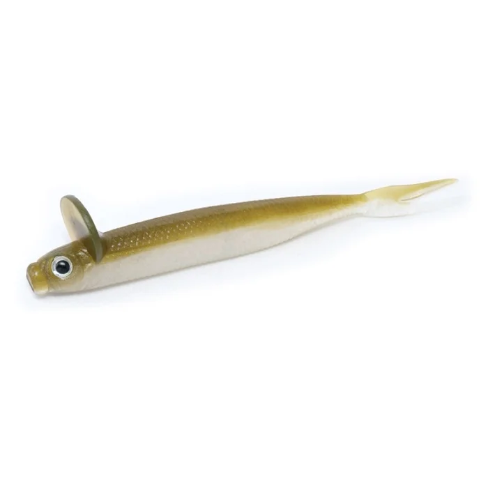frilled_shad_1_2