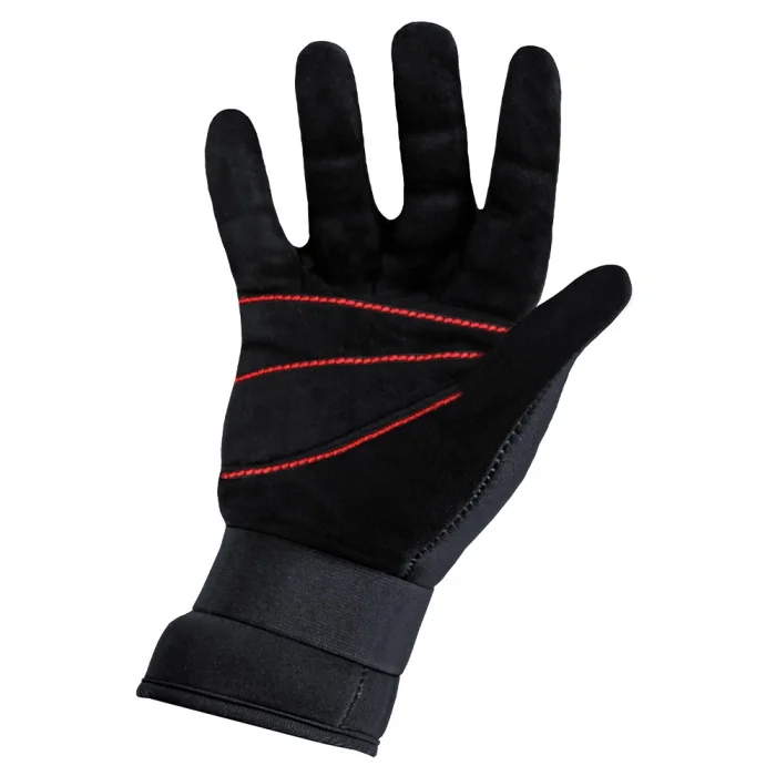 gant_labrax_2_1
