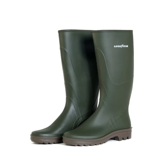 land-botte-goodyear