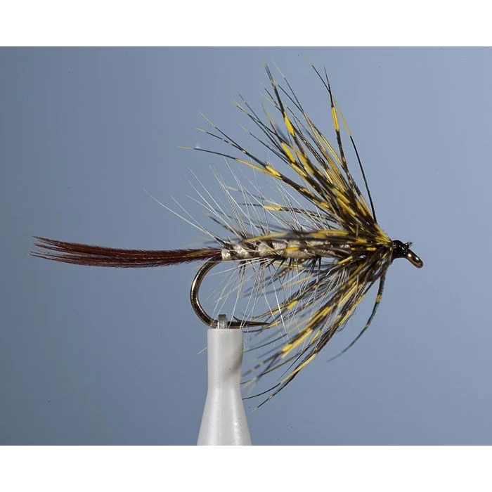 mouche-jmc-ephemere-mai-1-lot-de-6-z-8-842
