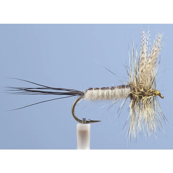 mouche-jmc-ephemere-mai-16-lot-de-z-523-52375