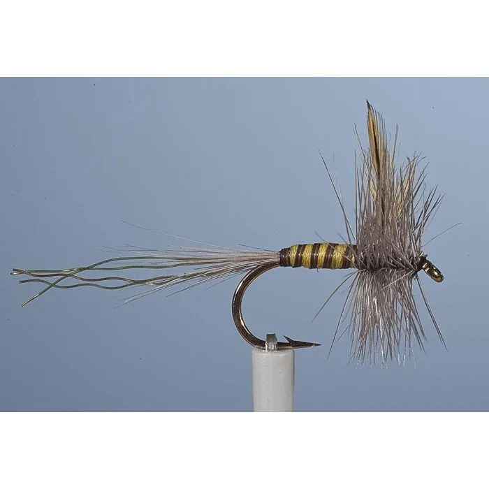 mouche-jmc-ephemere-mai-3-lot-de-6-z-8-845