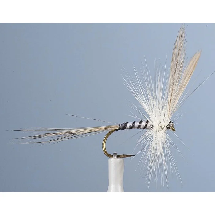 mouche-jmc-ephemere-mai-5-lot-de-6-z-8-847