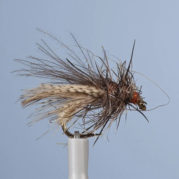 mouche_sedge_jmc_zc_13_cr_me_h14