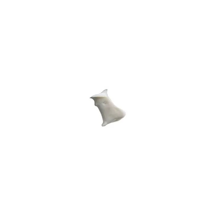 poign_e_blanche_2