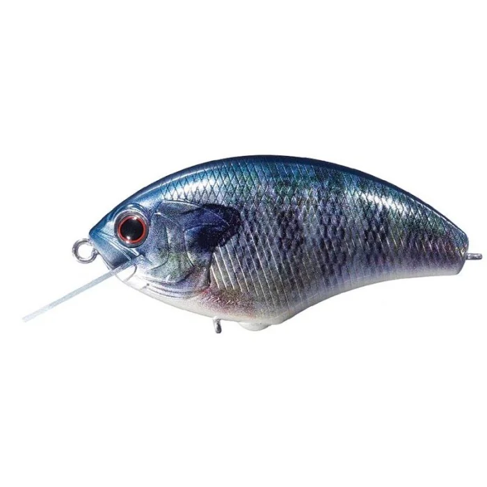 real-blue-gill-z-5219-521911