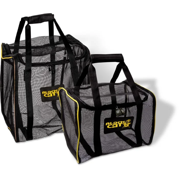 sac2_2