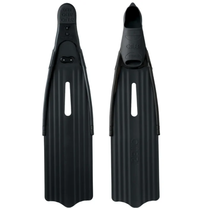 stingray2
