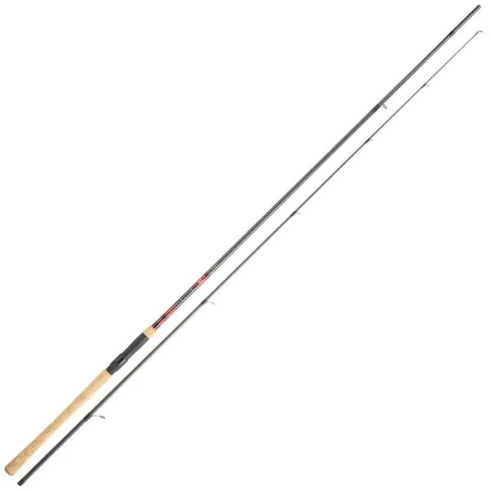 vairon_poisson_mani_